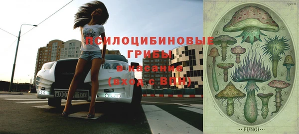 ГАЛЛЮЦИНОГЕННЫЕ ГРИБЫ Кулебаки