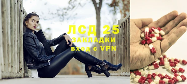прущие грибы Кукмор