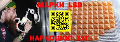 прущие грибы Абакан