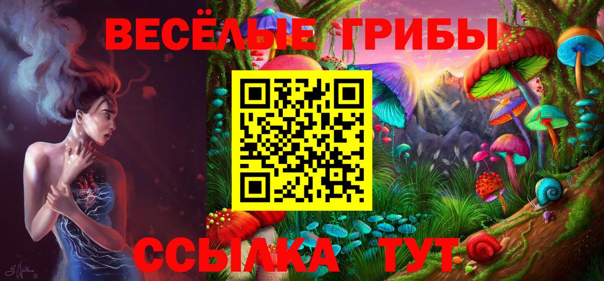 Псилоцибиновые грибы Psilocybine cubensis  Галлюциногенные грибы ЛСД  Пятигорск 