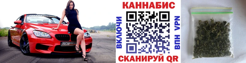 Каннабис индика  Пятигорск 
